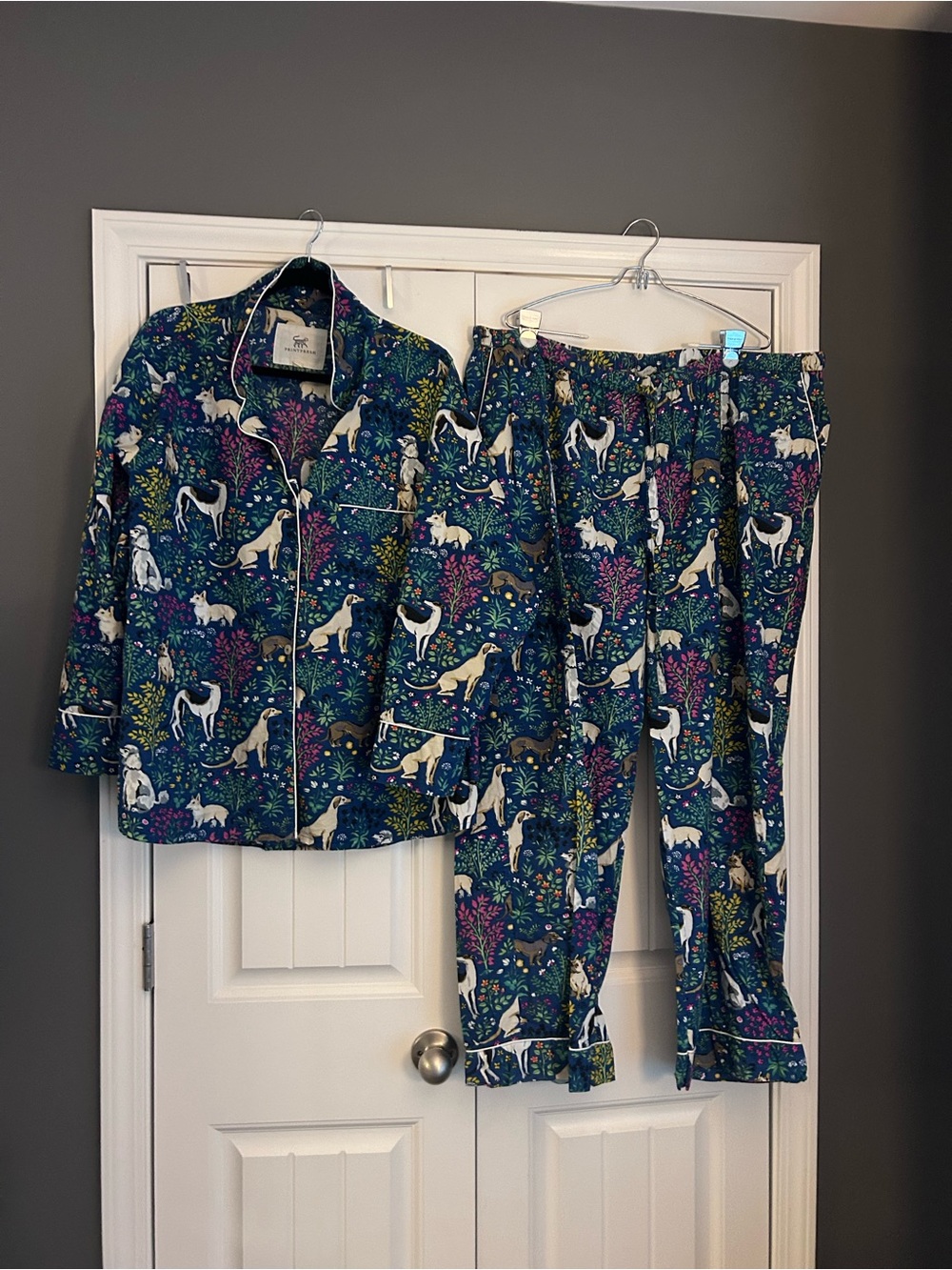 Printfresh Teal Blue Dog & Floral Pajama Set - Picture 2 of 7
